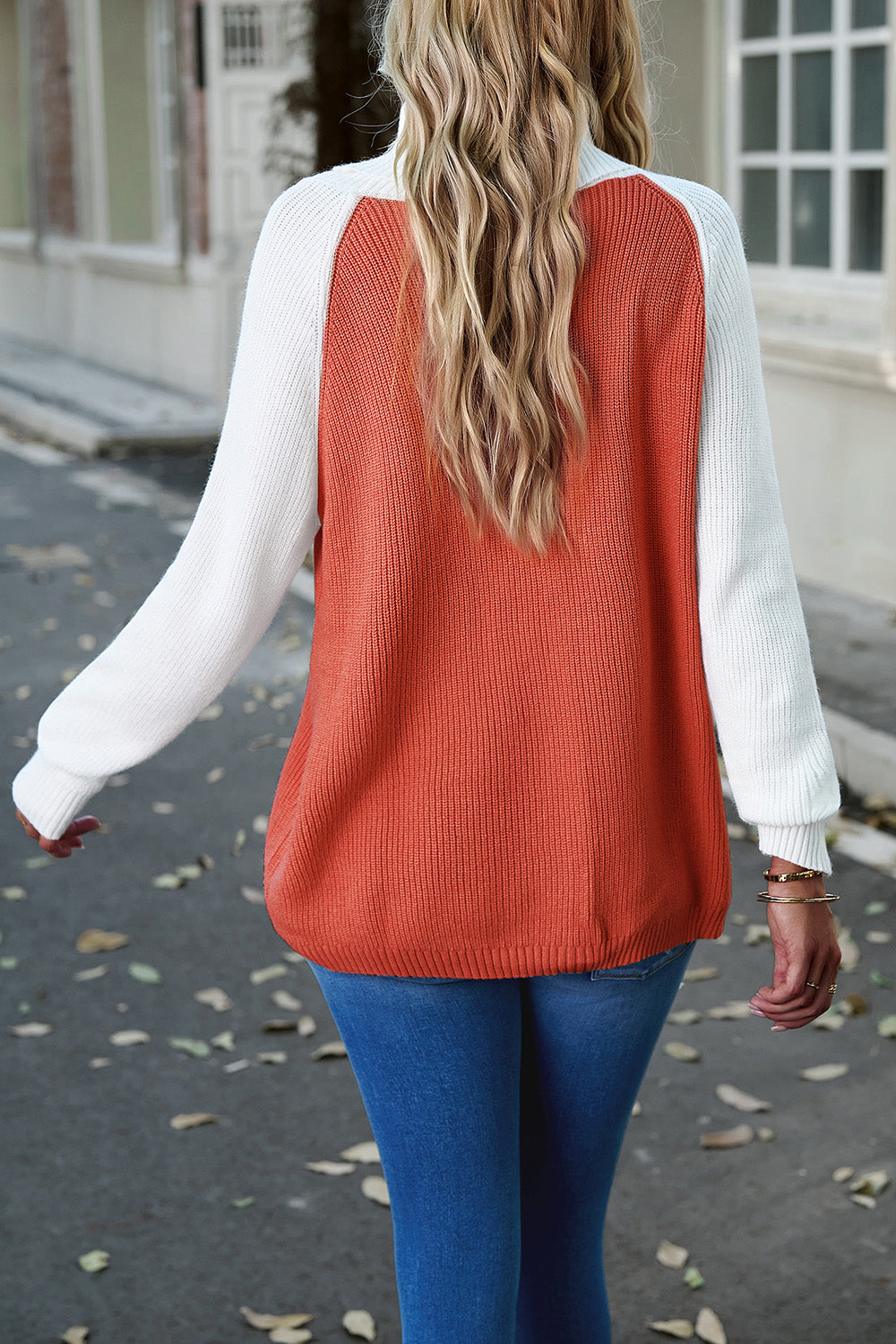 Contrast Turtleneck Raglan Sleeve Sweater